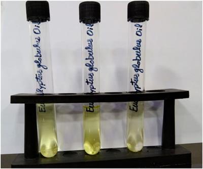 Bioactive, antioxidant and antimicrobial properties of chemically fingerprinted essential oils extracted from Eucalyptus globulus: in-vitro and in-silico investigations